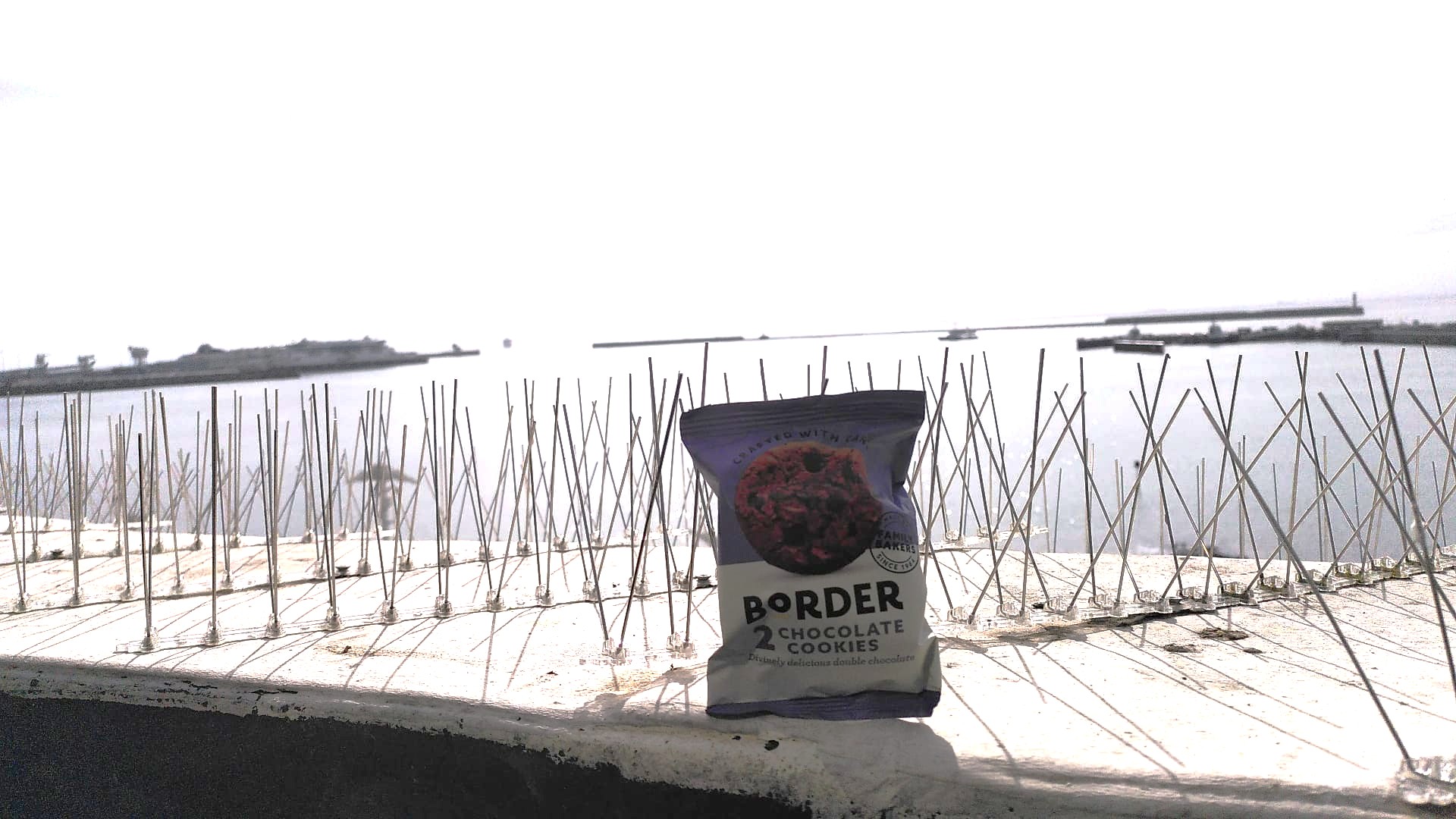 Border Biscuits photo edited Photo of pack of "Border" biscuits sits on anti-seagull spikes by the window. The port of Dover is visible in the background.
